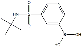 B-[5-[[(1,1-dimethylethyl)amino]sulfonyl]-3-pyridinyl]Boronic acid CAS#: 1314987-50-2