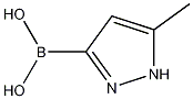 B-(5-Methyl-1H-Pyrazol-3-Yl)Boronic Acid CAS#: 1163248-54-1