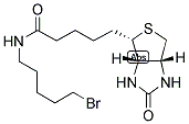 BIOTIN 5-BROMOPENTYLAMIDE CAS#: 1217605-72-5