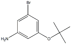 BenzenaMine, 3-broMo-5-(1,1-diMethylethoxy)- CAS#: 1369896-27-4