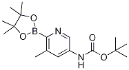 Boc-5-AMino-3-Methylpyridine-2-boronic acid pinacol ester CAS#: 1310384-90-7