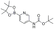 Boc-5-AMinopyridine-2-boronic acid pinacol ester CAS#: 1310404-08-0