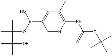 Boc-6-Amino-5-methylpyridine-3-boronic acid pinacol ester CAS#: 1075249-37-4
