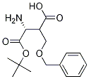 Boc-(R)-3-aMino-2-(benzyloxyMethyl)propanoic acid CAS#: 1287146-61-5