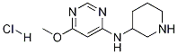 (6-Methoxy-pyriMidin-4-yl)-piperidin-3-yl-aMinehydrochloride CAS#: 1353954-31-0