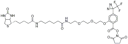 2-[2-[2-[2-[6-(Biotinylaminohexanoyl]aminoethoxy]ethoxy]ethoxy]-4-[3-(trifluoromethyl)-3H-diazirin-3-yl]benzoic Acid N-Hydroxysuccinimide Ester CAS#: 1217722-17-2