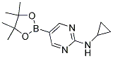 CYCLOPROPYL-[5-(4,4,5,5-TETRAMETHYL-[1,3,2]DIOXABOROLAN-2-YL)-PYRIMIDIN-2-YL]-AMINE CAS#: 1218789-33-3