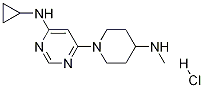 Cyclopropyl-[6-(4-MethylaMino-piperidin-1-yl)-pyriMidin-4-yl]-aMine hydrochloride CAS#: 1353953-70-4