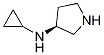 Cyclopropyl-(S)-pyrrolidin-3-yl-amine CAS#: 1289584-81-1