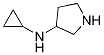 Cyclopropyl-pyrrolidin-3-yl-amine CAS#: 1228458-66-9