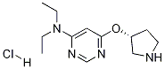 Diethyl-[6-((R)-pyrrolidin-3-yloxy)-pyriMidin-4-yl]-aMine hydrochloride CAS#: 1353994-66-7