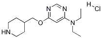 Diethyl-[6-(piperidin-4-ylMethoxy)-pyriMidin-4-yl]-aMine hydrochloride CAS#: 1353981-53-9