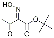 (E)-tert-butyl 2-(hydroxyiMino)-3-oxobutanoate CAS#: 1312786-80-3