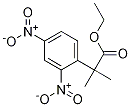 Ethyl 2-(2,4-Dinitrophenyl)-2-Methylpropanoate CAS#: 1256633-16-5