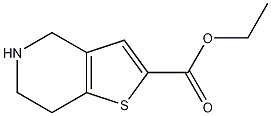 Ethyl 4,5,6,7-tetrahydrothieno[3,2-c]pyridine-2-carboxylate CAS#: 1080026-94-3