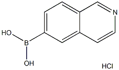 Isoquinolin-6-ylboronic acid hydrochloride (pentahydrate) CAS#: 1236031-63-2