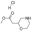 METHYL 2-(MORPHOLIN-2-YL)ACETATE HCL CAS#: 1187932-65-5