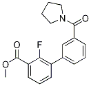 Methyl 2-fluoro-3-[3-(pyrrolidinocarbonyl)phenyl]benzoate CAS#: 1381944-51-9