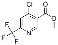 Methyl 4-chloro-6-(trifluoroMethyl)nicotinate CAS#: 1211539-36-4