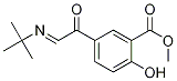 Methyl 5-[(tert-Butylimino)acetyl]salicylate CAS#: 1185239-25-1