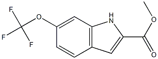 Methyl 6-(TrifluoroMethoxy)indole-2-carboxylate CAS#: 1154319-87-5