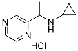 N-(1-(pyrazin-2-yl)ethyl)cyclopropanaMine hydrochloride, 98+% C9H14ClN3, 分子量 199.68 CAS#: 1185320-04-0