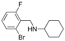N-[(2-BroMo-6-fluorophenyl)Methyl]cyclohexanaMine CAS#: 1355247-90-3