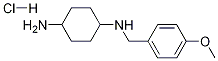 N-(4-Methoxy-benzyl)-cyclohexane-1,4-diaMine hydrochloride CAS#: 1353984-43-6