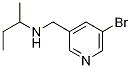 N-((5-bromopyridin-3-yl)methyl)butan-2-amine CAS#: 1183693-62-0