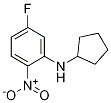 N-Cyclopentyl-5-fluoro-2-nitroaniline CAS#: 1250834-99-1