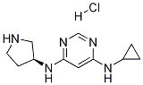 N-Cyclopropyl-N'-(S)-pyrrolidin-3-yl-pyriMidine-4,6-diaMine hydrochloride CAS#: 1354018-58-8
