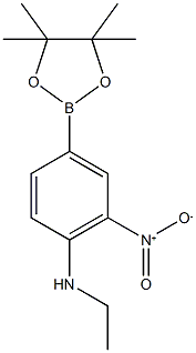 N-Ethyl-2-nitro-4-(4,4,5,5-tetramethyl-1,3,2-dioxaborolan-2-yl)aniline CAS#: 1150271-70-7