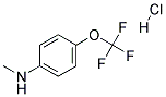 N-METHYL-N-[4-(TRIFLUOROMETHOXY)PHENYL]AMINE HYDROCHLORIDE CAS#: 1215206-28-2