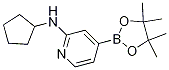 N-cyclopentyl-4-(4,4,5,5-tetramethyl-1,3,2-dioxaborolan-2-yl)pyridin-2-amine CAS#: 1346808-54-5