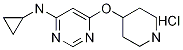 N-cyclopropyl-6-(piperidin-4-yloxy)pyriMidin-4-aMine hydrochloride, 98+% C12H19ClN4O, 分子量 270.76 CAS#: 1185308-71-7