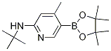 N-tert-butyl-4-Methyl-5-(4,4,5,5-tetraMethyl-1,3,2-dioxaborolan-2-yl)pyridin-2-aMine CAS#: 1351380-86-3