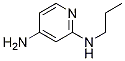 N2-propylpyridine-2,4-diamine CAS#: 1250938-15-8