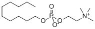 O-(DECYLPHOSPHORYL)CHOLINE 100 MM SOLUTION CAS#: 70504-28-8