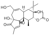 PHORBOL 12-MONOACETATE, 4BETA CAS#: 70470-59-6