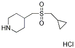 Piperidine, 4-[[(cyclopropylmethyl)sulfonyl]methyl]-, hydrochloride (1:1) CAS#: 1185295-04-8