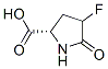 Proline, 4-fluoro-5-oxo- (7CI,8CI,9CI) CAS#: 7682-57-7