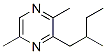 Pyrazine, 2,5-dimethyl-3-(2-methylbutyl)- (9CI) CAS#: 72668-36-1