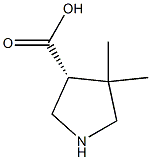 (R)-4,4-DiMethylpyrrolidine-3-carboxylic acid CAS#: 1314999-39-7
