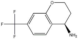 (R)-7-(TRIFLUOROMETHYL)CHROMAN-4-AMINE CAS#: 1213657-96-5
