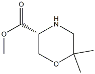(R)-METHYL 6,6-DIMETHYL-MORPHOLINE-3-CARBOXYLATE CAS#: 1313278-08-8