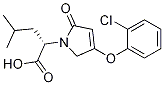 (S)-2-(4-(2-chlorophenoxy)-2-oxo-2,5-dihydro-1H-pyrrol-1-yl)-4-methylpentanoic acid CAS#: 1191997-64-4