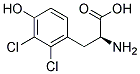 (S)-2-AMINO-3-(2,3-DICHLORO-4-HYDROXY-PHENYL)-PROPIONIC ACID CAS#: 1217611-72-7