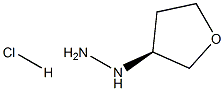 (S)-(tetrahydrofuran-3-yl)hydrazine hydrochloride CAS#: 1364632-45-0