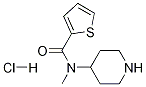 Thiophene-2-carboxylic acid Methyl-piperidin-4-yl-aMide hydrochloride CAS#: 1353962-93-2