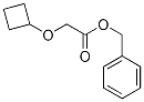 benzyl 2-cyclobutoxyacetate CAS#: 1364663-26-2